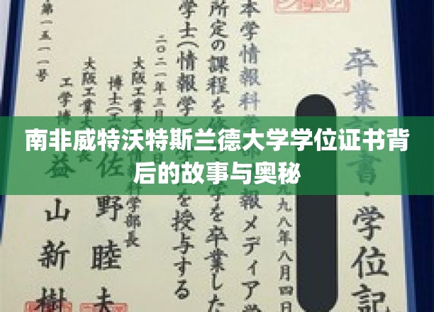 南非威特沃特斯兰德大学学位证书背后的故事与奥秘
