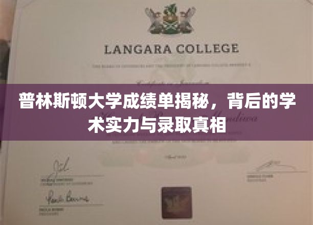 解码普林斯顿，揭开顶尖大学成绩单背后的录取奥秘