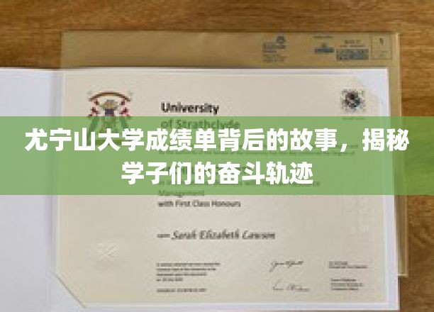 尤宁山大学成绩单背后的故事，揭秘学子们的奋斗轨迹