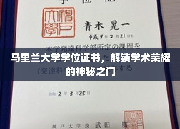 马里兰大学学位证书，开启学术荣耀的璀璨之门
