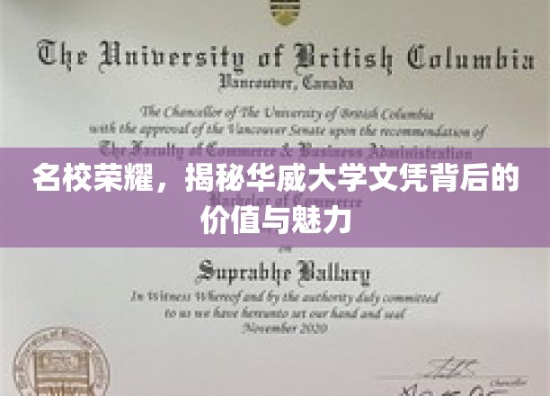 华威辉煌，探寻顶尖文凭的内在价值与独特魅力