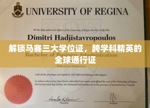 马赛大学三证在手，全球精英之路尽在掌握