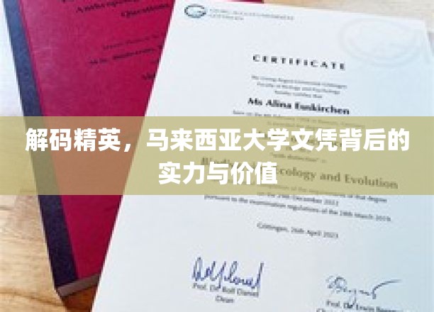 解码精英，马来西亚大学文凭背后的实力与价值
