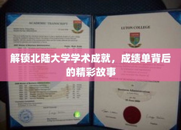 北陆大学辉煌篇章，揭秘学子成就背后的传奇历程