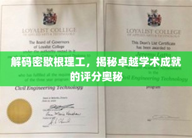 解码密歇根理工，揭秘卓越学术成就的评分奥秘