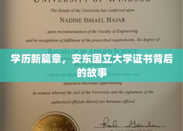 揭开安东国立大学学历证书的神秘面纱，背后的传奇与启示