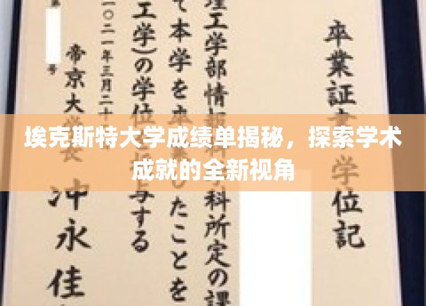 解码埃克斯特大学，揭开学术辉煌的神秘面纱