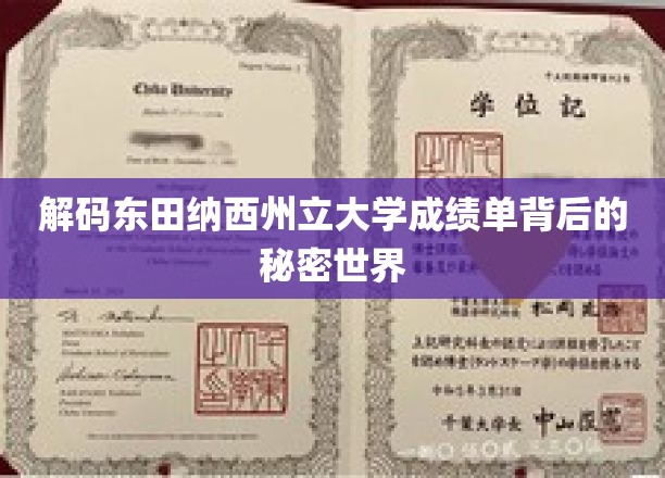 揭开东田纳西州立大学成绩单的神秘面纱