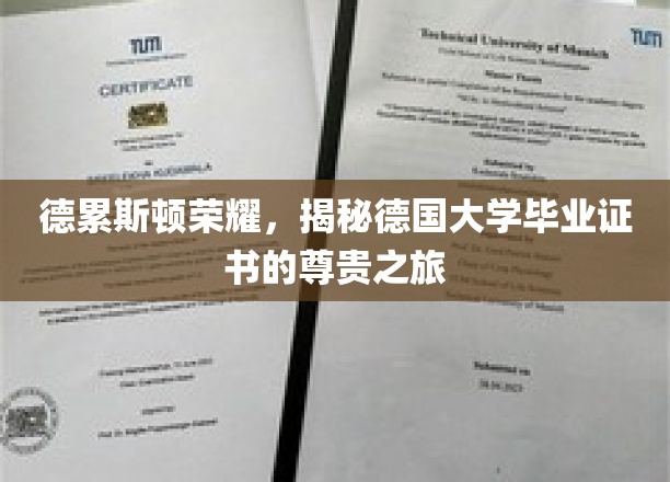 德累斯顿之光，探寻德国大学毕业证书的非凡溯源之旅