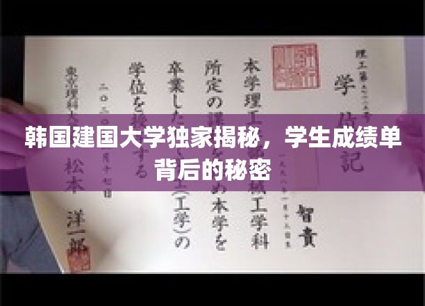 解码韩国建国大学成绩单，隐藏在数字背后的校园真相