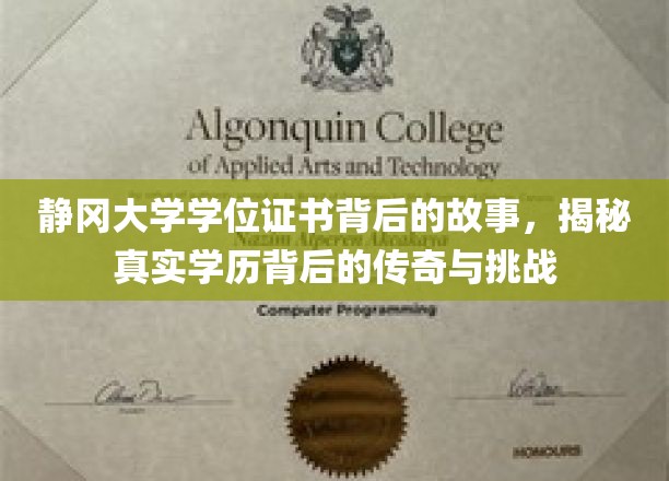 静冈大学学位证书，探寻学历传奇背后的不凡历程