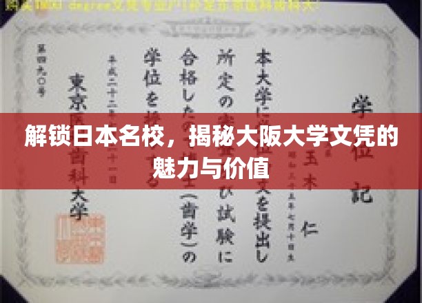 探寻大阪大学文凭的奥秘，日本名校的学术魅力与就业前景