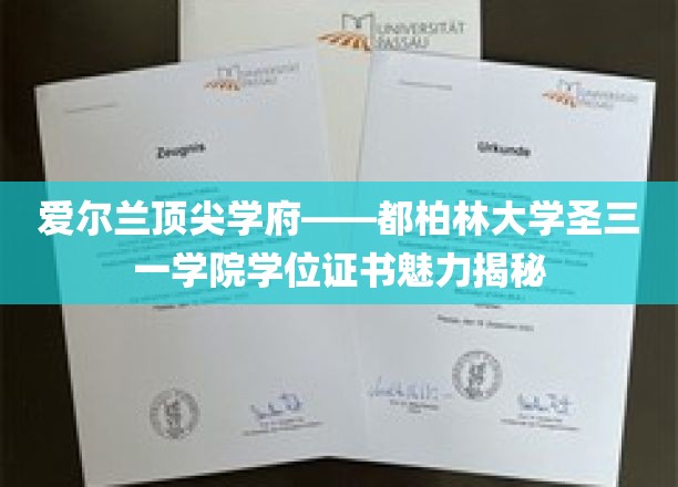 探寻都柏林大学圣三一学院的独特学位证书魅力