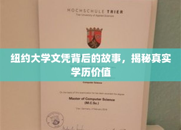 纽约大学文凭的隐藏真相，探究学历背后的真实价值与影响