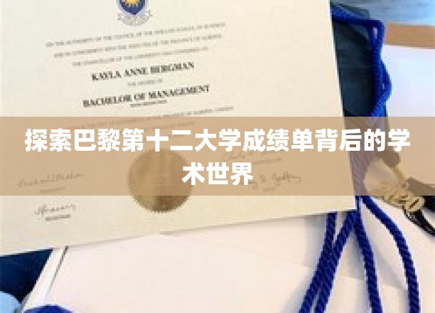 揭开巴黎第十二大学成绩单的学术奥秘