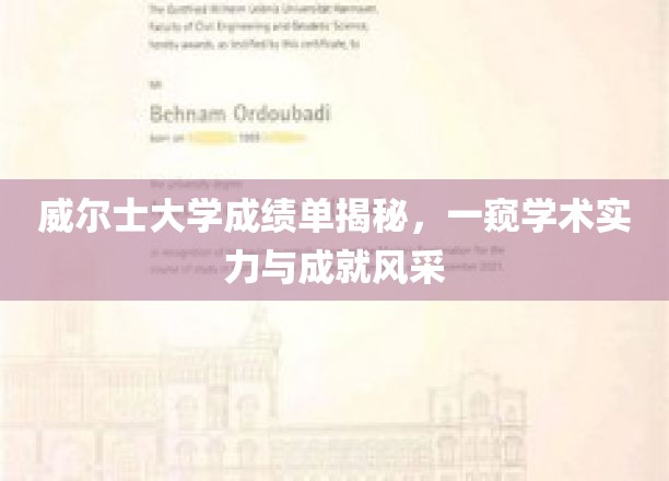 威尔士大学成绩单深度解析，一窥学术实力与成就风采