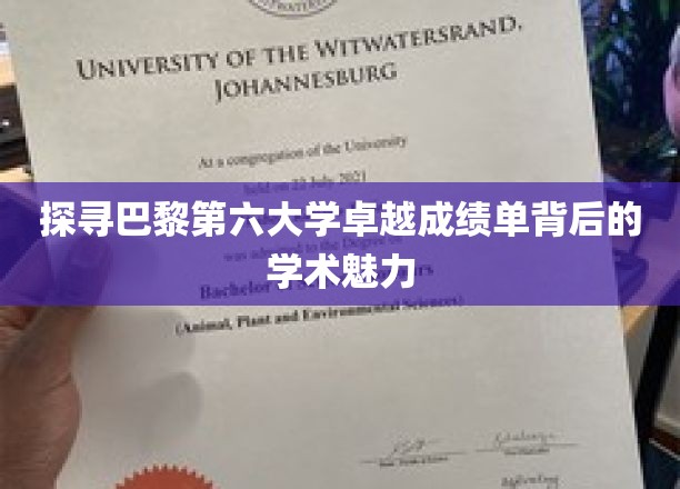 探寻巴黎第六大学卓越成绩单背后的学术魅力