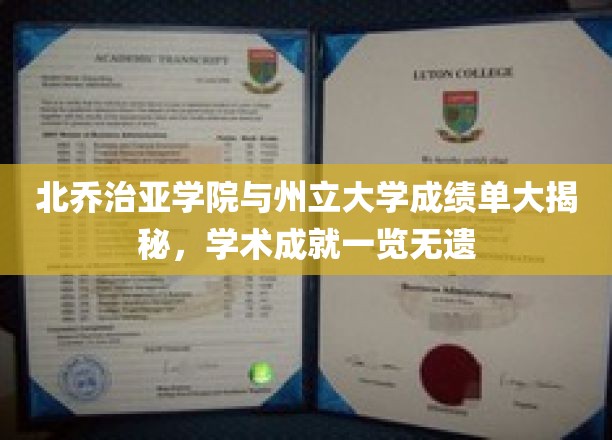 北乔治亚学院与州立大学成绩单大揭秘，学术成就一览无遗