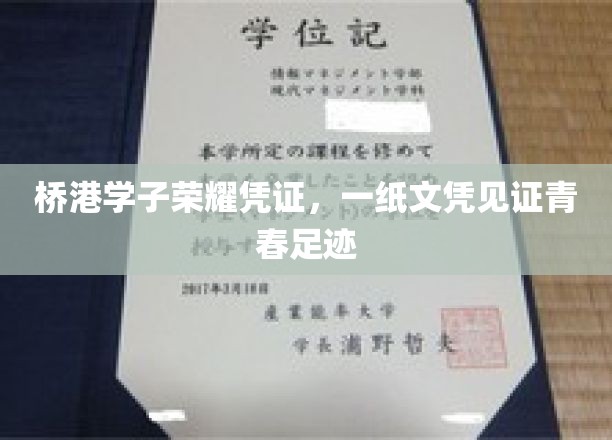 桥港学子荣耀印记，一纸文凭映照青春足迹