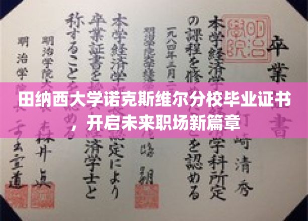 田纳西大学诺克斯维尔分校证书，铺就职场梦想启航路