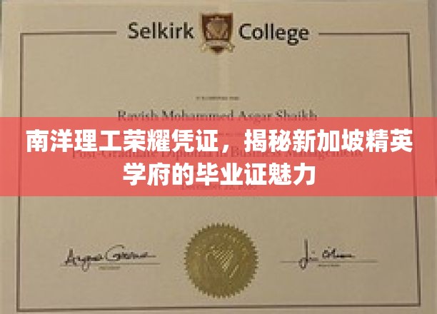 南洋理工荣耀凭证，揭秘新加坡精英学府的毕业证魅力