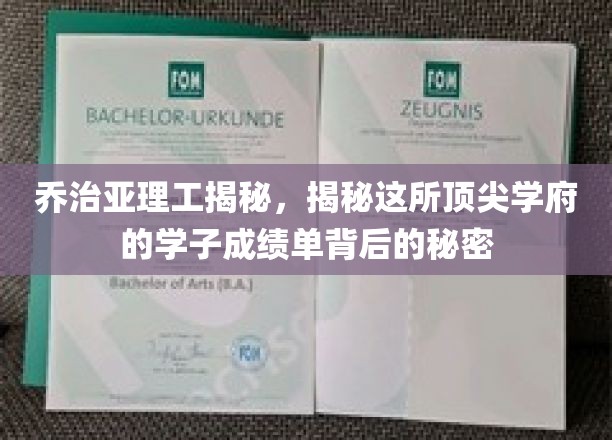 解码乔治亚理工精英学子，揭秘卓越成绩背后的神秘力量