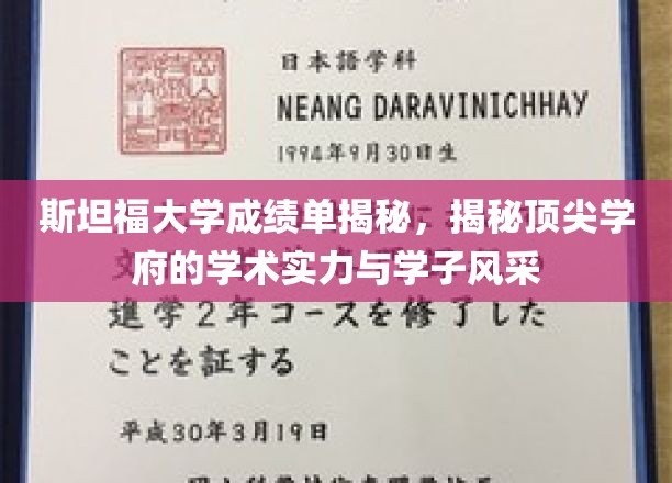 斯坦福精英画像，一窥顶尖学府的学术魅力与学子风采