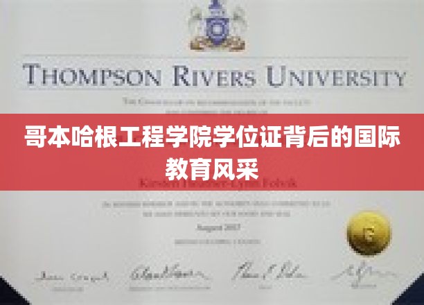 哥本哈根工程学院学位证背后的国际教育风采