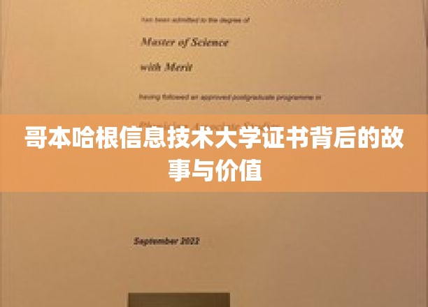 哥本哈根信息技术大学证书背后的故事与价值