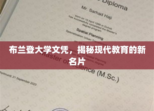 布兰登大学文凭，现代教育界的新标杆与变革力量