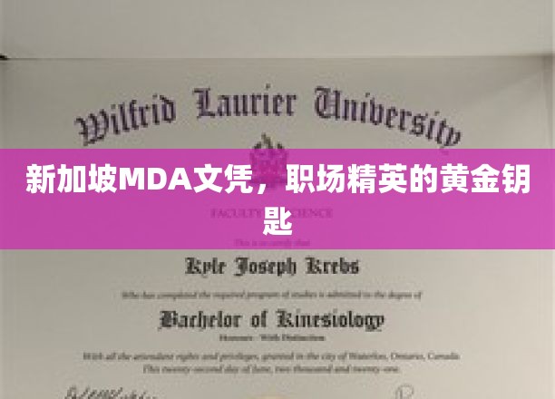 新加坡MDA文凭，开启职场精英之路的璀璨钥匙