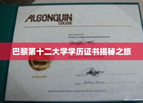 探寻巴黎第十二大学证书背后的传奇故事