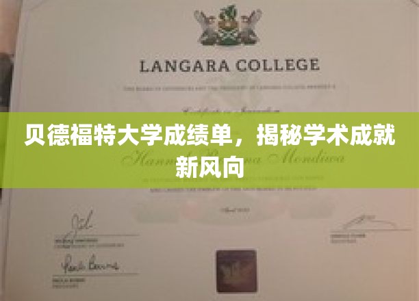 贝德福特大学新风向，一纸成绩单映照学术辉煌