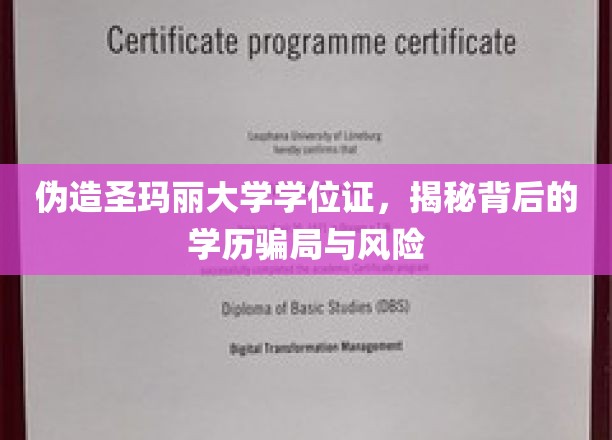 揭秘伪造圣玛丽大学学位证的学历骗局与潜在风险