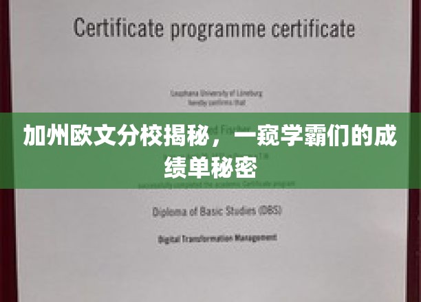加州学霸的秘密档案，一探加州欧文分校高分背后的故事