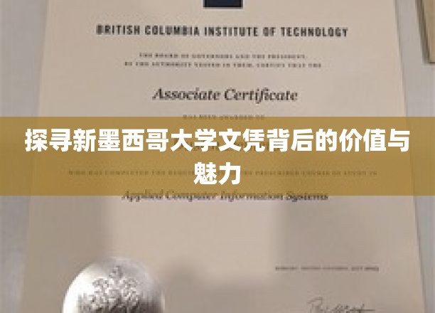 揭开新墨西哥大学文凭的神秘面纱，价值与魅力深度解析