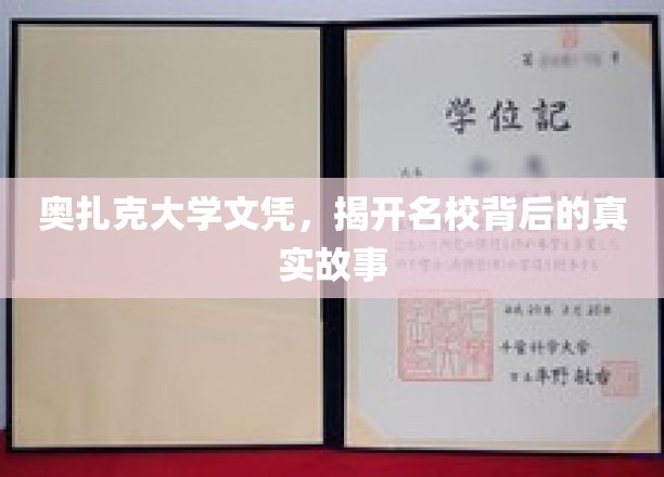 奥扎克大学文凭揭秘，名校光环下的真实面貌
