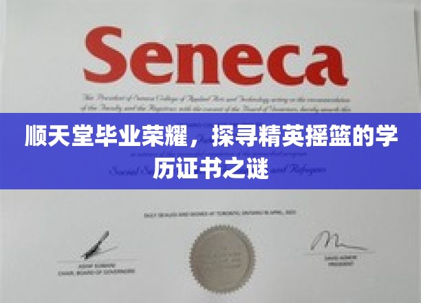 顺天堂毕业荣耀，探寻精英摇篮的学历证书之谜
