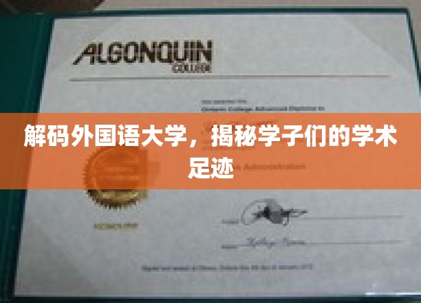 走进外国语大学，探寻学子的学术探险之旅