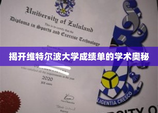 揭开维特尔波大学成绩单的学术奥秘