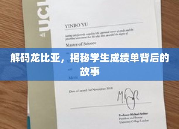 揭开成绩单密码，龙比亚学生的成长轨迹