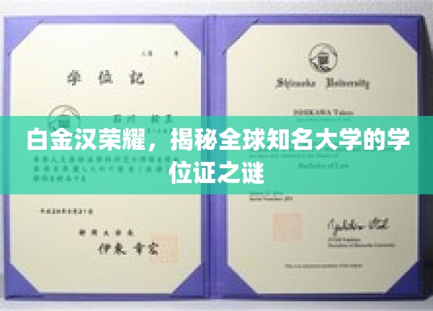 白金汉荣耀，揭开全球知名大学的学位证之谜