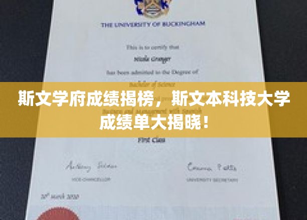 斯文本科大荣耀揭晓，学子佳绩，斯文璀璨！