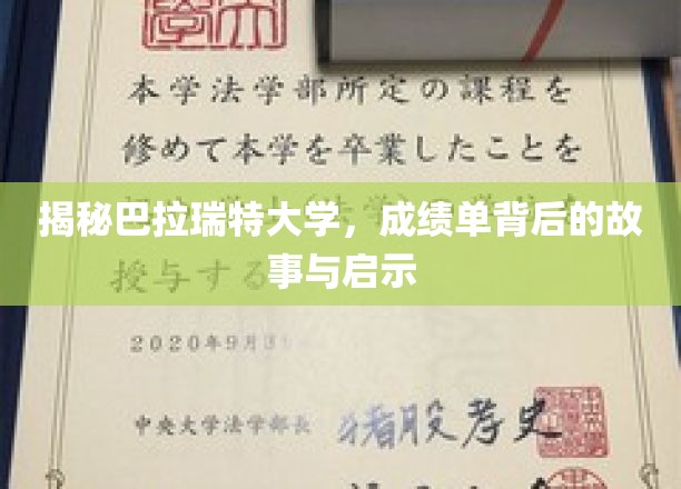 解码巴拉瑞特大学，成绩单背后的深刻启示与真实人生轨迹