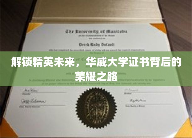 解锁精英未来，华威大学证书背后的荣耀之路