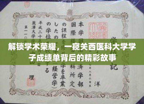 探寻关西医科大学学霸们的荣耀足迹，揭秘成绩单背后的奋斗传奇