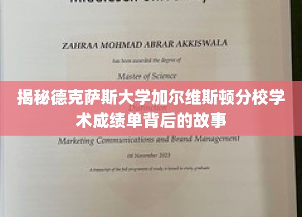 德克萨斯大学加尔维斯顿分校，揭秘学术成绩单背后的秘密世界