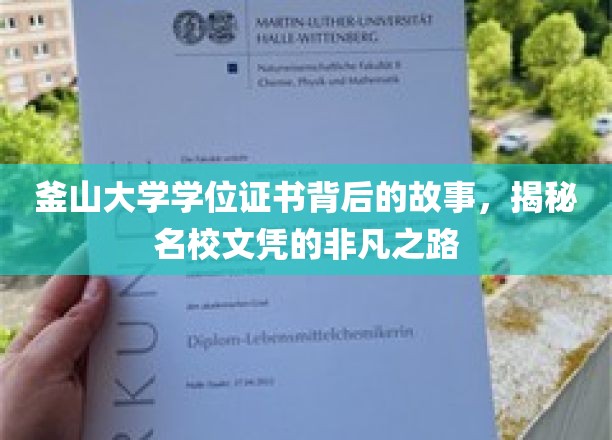 釜山大学学位证书背后的故事，揭秘名校文凭的非凡之路