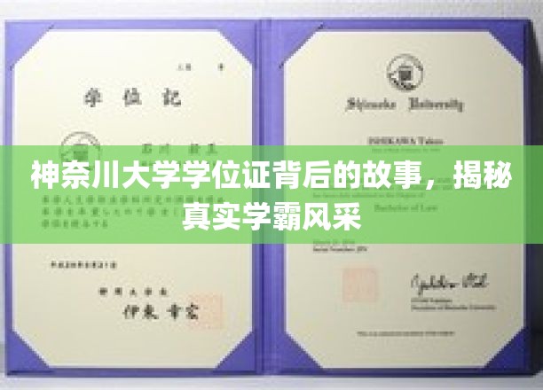 神奈川大学学位证背后的故事，揭秘真实学霸风采
