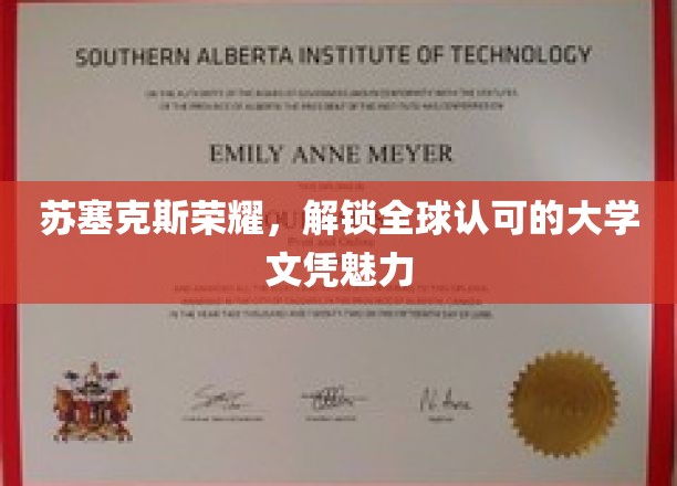 苏塞克斯荣耀，探索国际认可大学文凭的无限魅力
